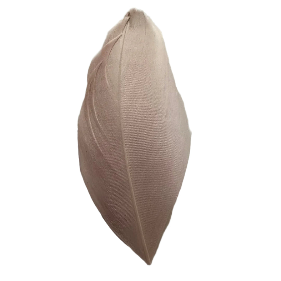 pale lilac goose nagoire feather tip