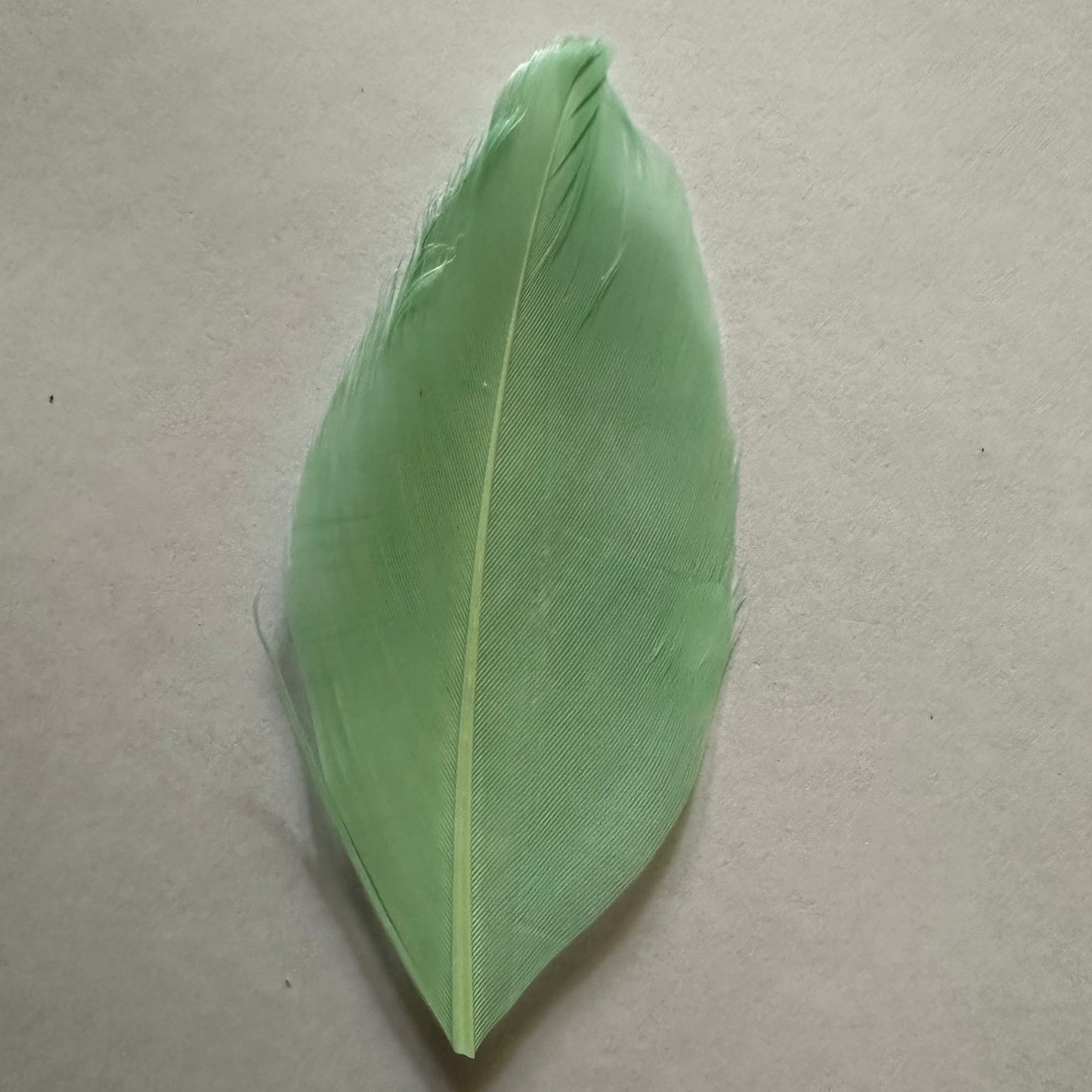 mint goose nagoire feather tip