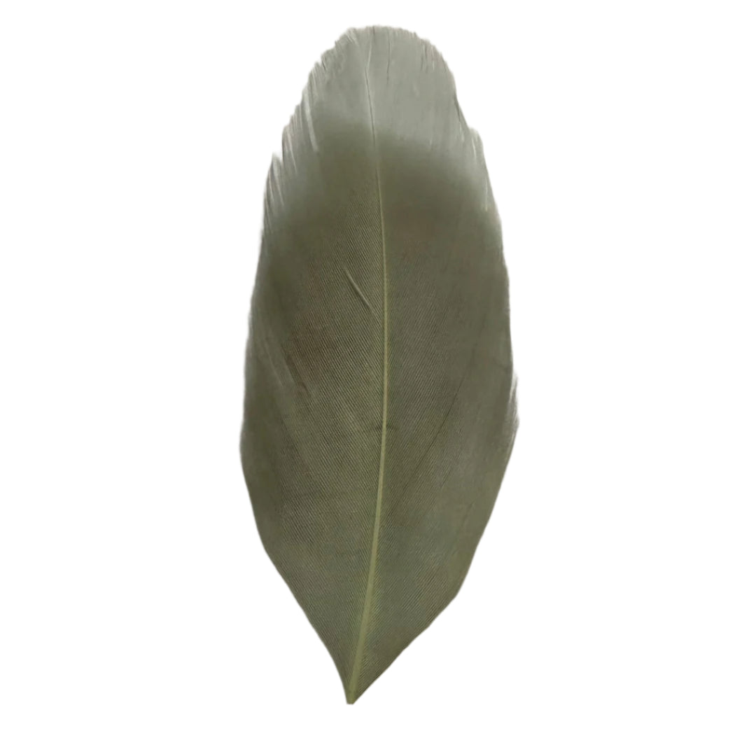 silver grey goose nagoire feather tip