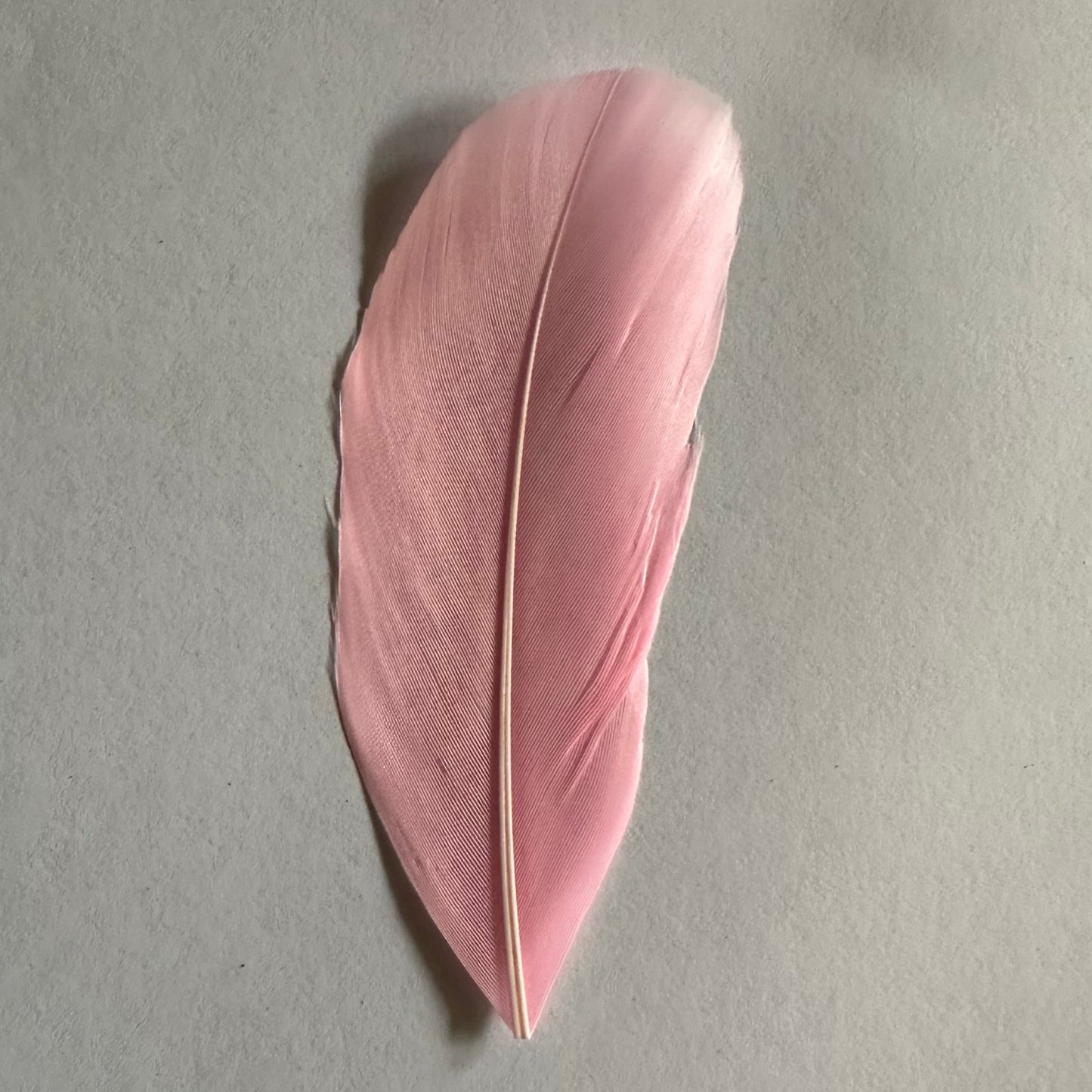 lolly pink goose nagoire feather tip