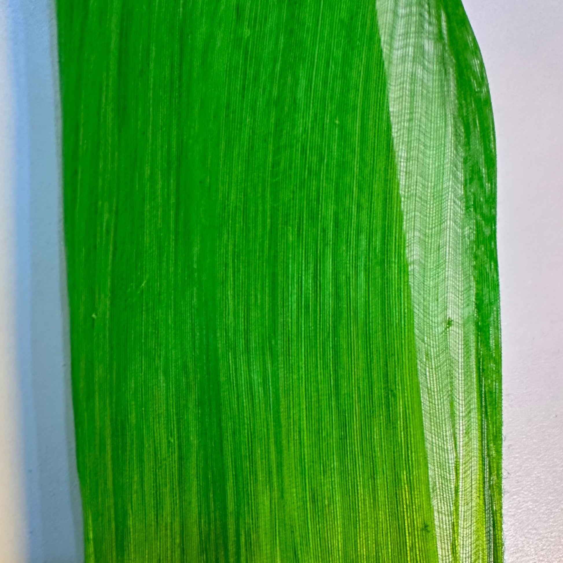 Lime Green Silk Abaca