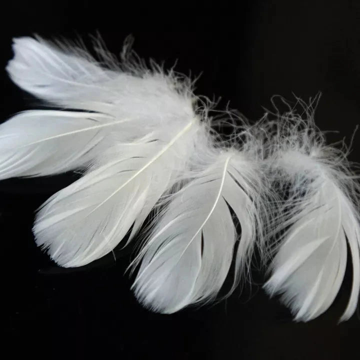 Goose_Coquille_Feather_-_White