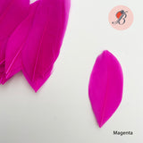 magenta goose nagoire feather tip