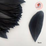black goose nagoire feather tip
