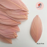 blush pink goose nagoire feather tip
