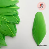 bright green  goose nagoire feather tip