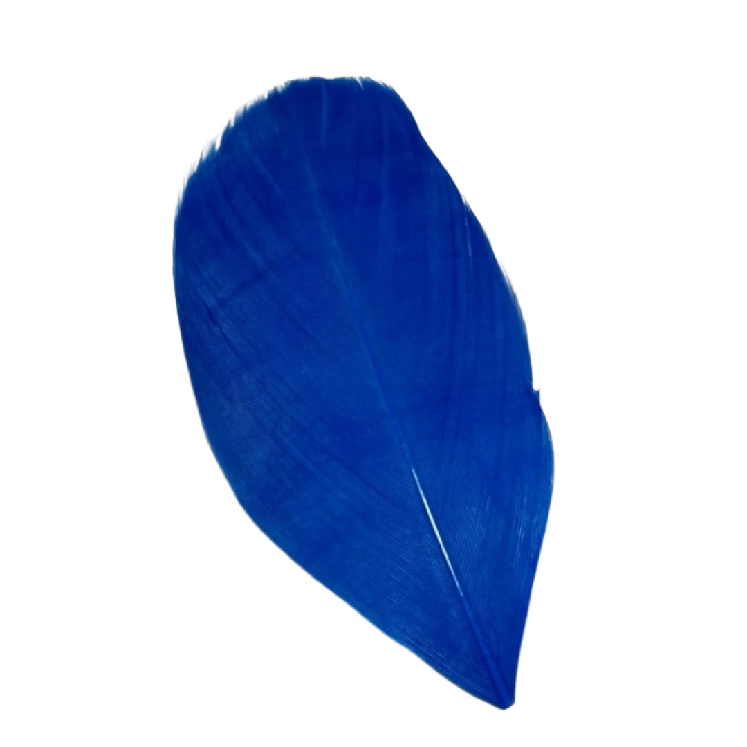 Goose Nagoire Feather Tips - Royal Blue