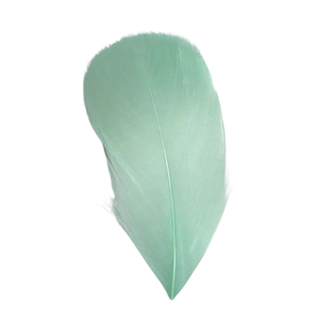 Goose Nagoire Feather Tips - Mint Green