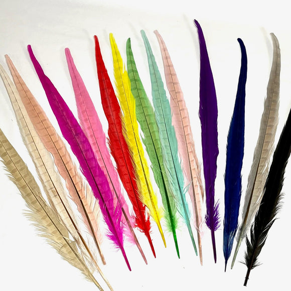Dyed Pheasant Tail Feathers 14 Colors