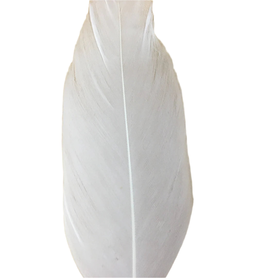 white goose nagoire feather tip