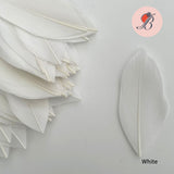 white goose nagoire feather tip