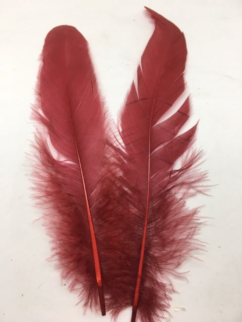 Coque Tail Feathers (untrimmed) - AU - B Unique Millinery