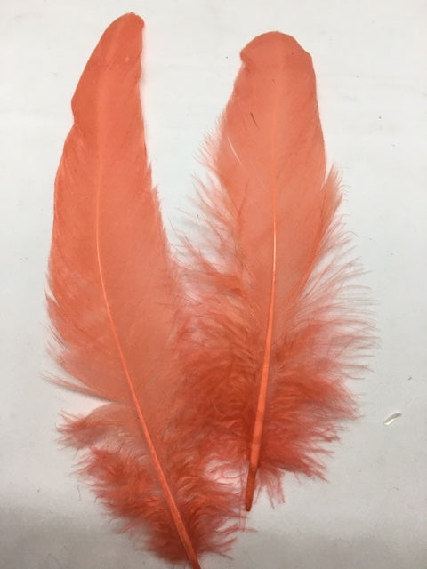 Coque Tail Feathers (untrimmed) - AU - B Unique Millinery