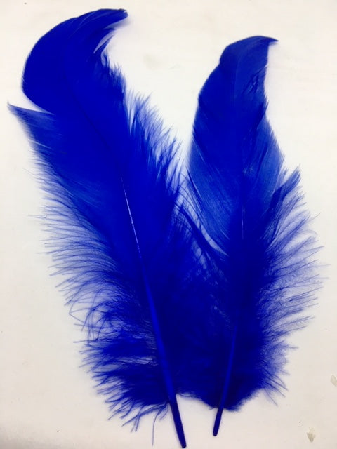 Coque Tail Feathers (untrimmed) - AU - B Unique Millinery