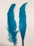 Coque Tail Feathers (untrimmed) - AU - B Unique Millinery