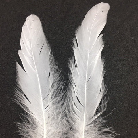 Coque Tail Feathers (untrimmed) - AU - B Unique Millinery