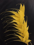 Spikey Feather Mounts (F201501) yellow