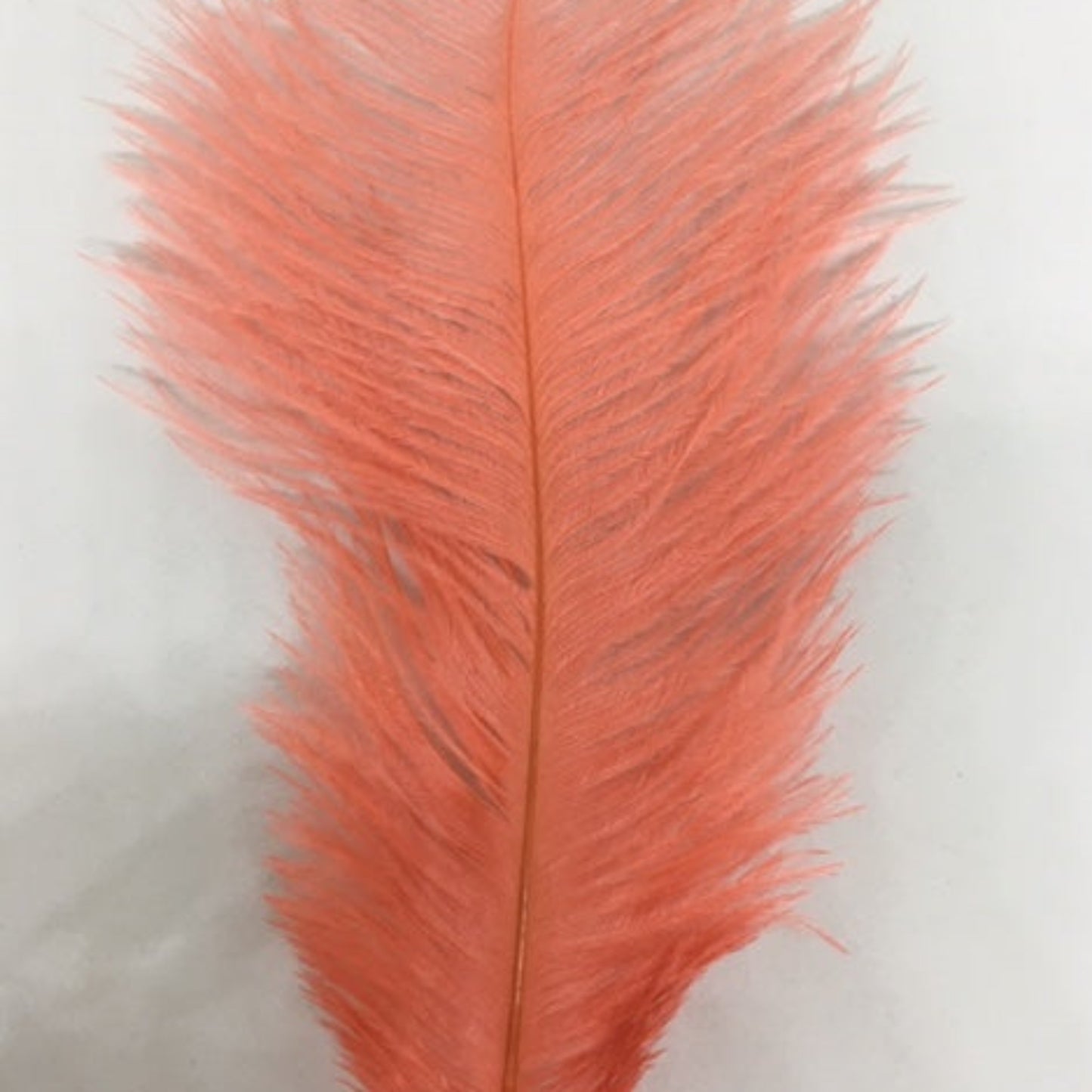 Ostrich Blondine Feather Small coral