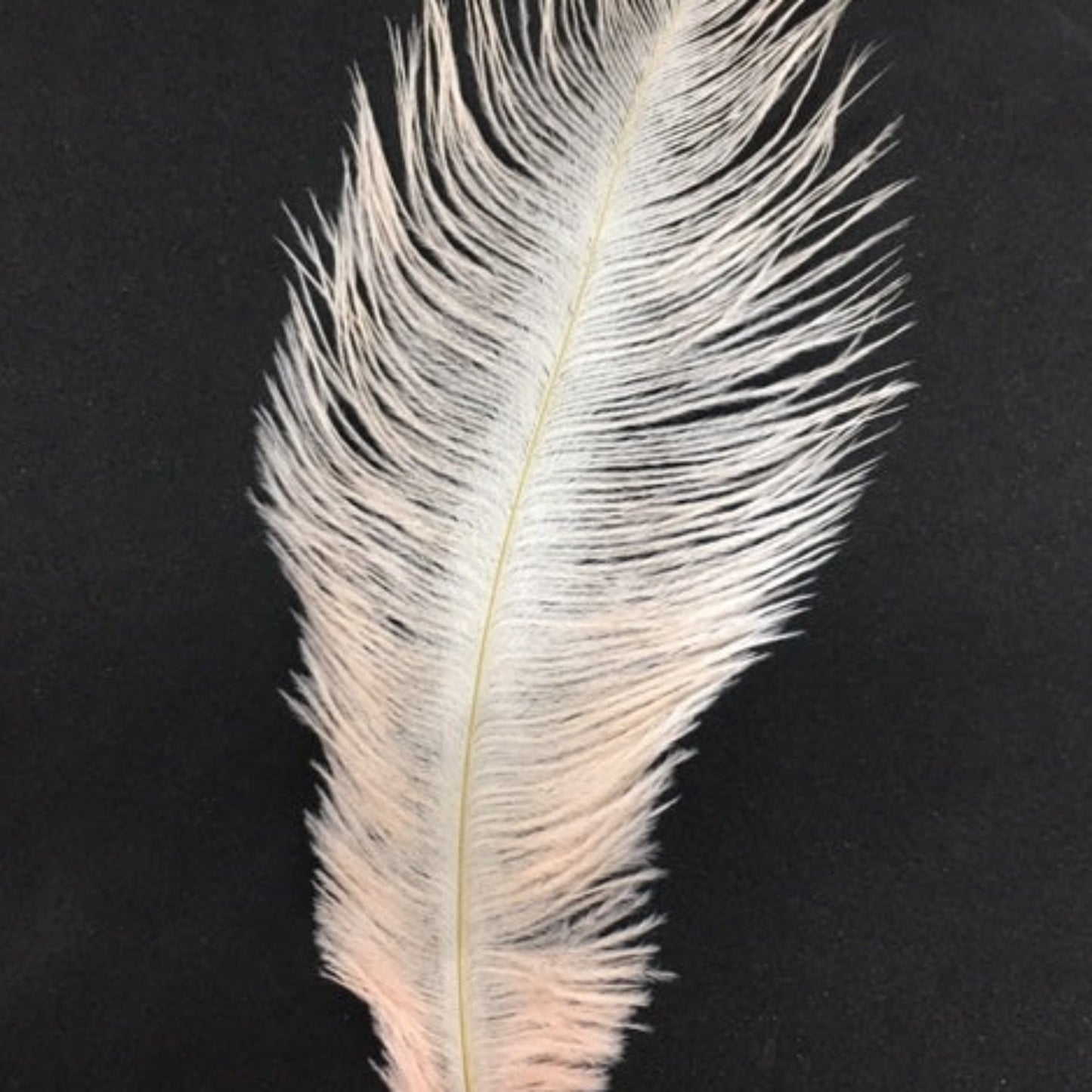 Ostrich Blondine Feather Small creme de peche