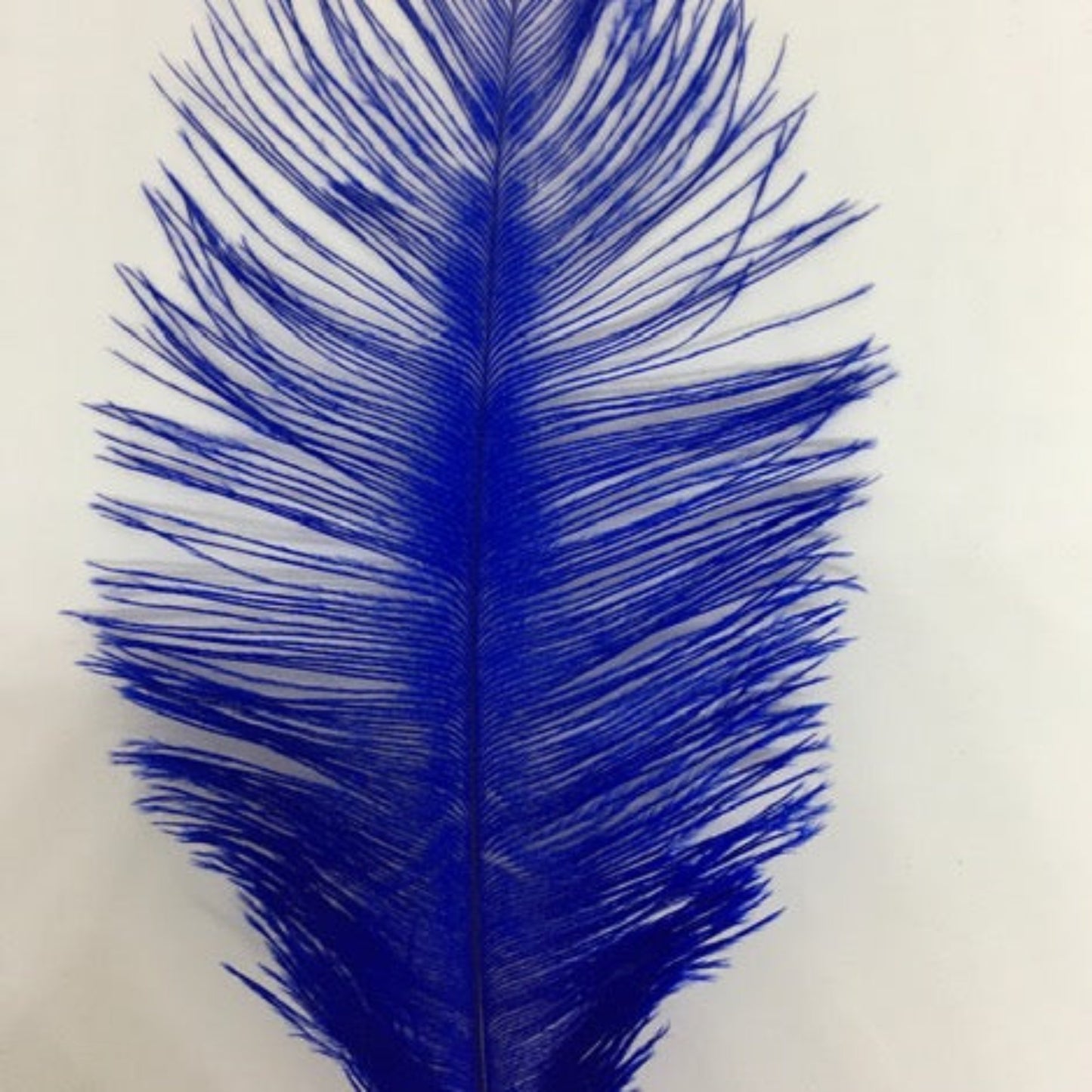 Ostrich Blondine Feather Small royal blue