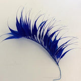 Spikey Feather Mounts (F201501) royal blue