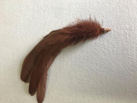 Coque Feathers - AU - B Unique Millinery