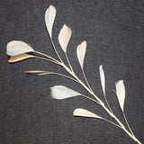Feather Branch cream