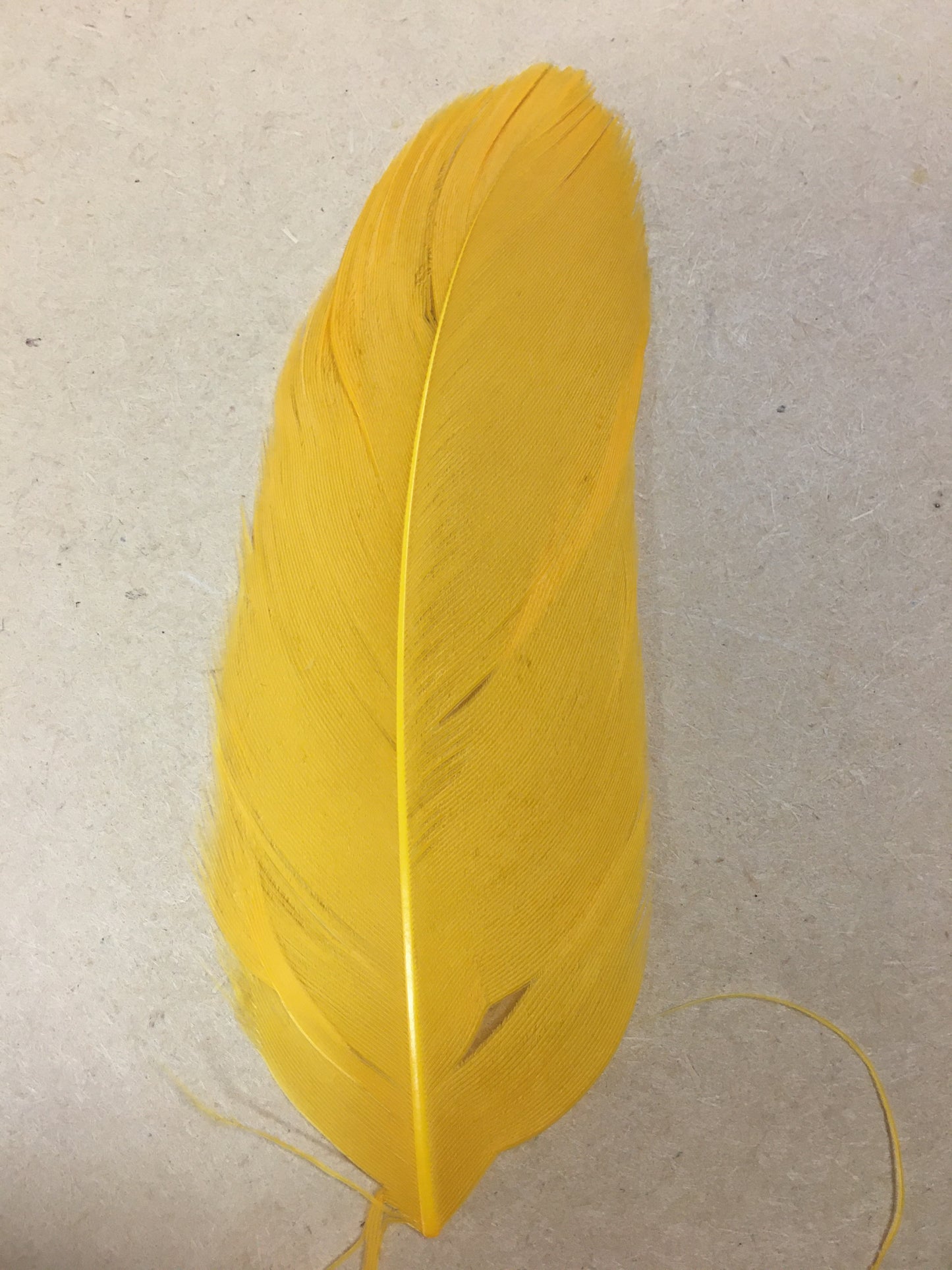 golden yellow goose nagoire feather tip