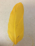 golden yellow goose nagoire feather tip