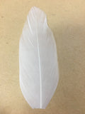 white goose nagoire feather tip