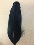 black goose nagoire feather tip
