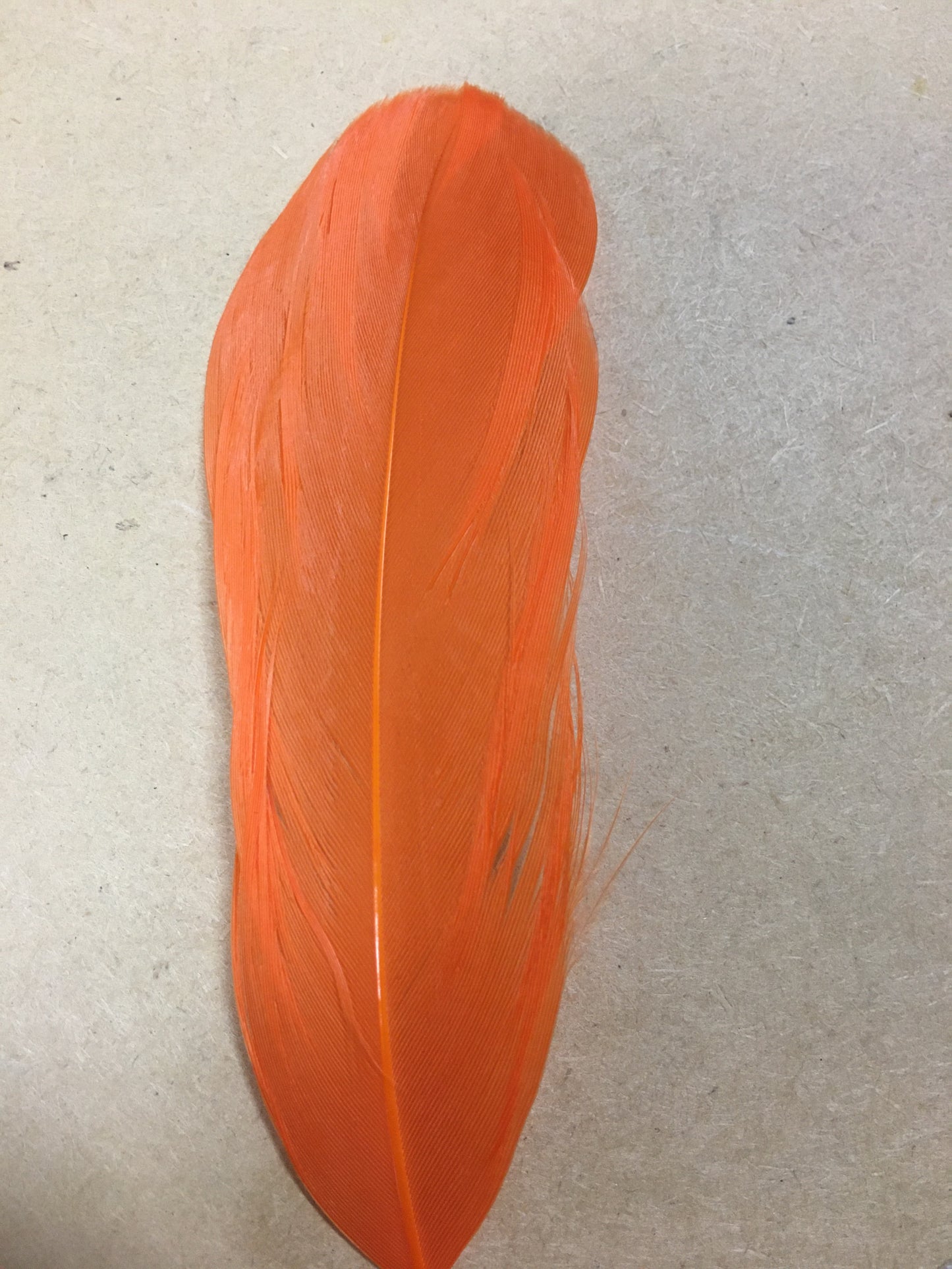 orange goose nagoire feather tip
