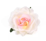 Silk Roses - AU