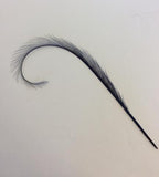Curly Burnt Pheasant Feathers - AU - B Unique Millinery