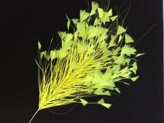 X-Large Feather Tree - AU - B Unique Millinery
