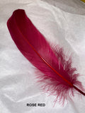 Goose Nagoire Feathers (loose) - US