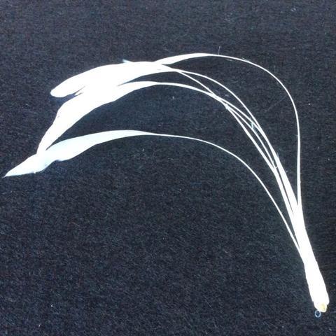 Coque Feathers - AU - B Unique Millinery