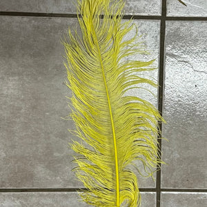 ostrich blondine feather x-large combo