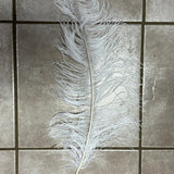 ostrich blondine feather x-large white