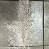 ostrich blondine feather x-large creme de peche