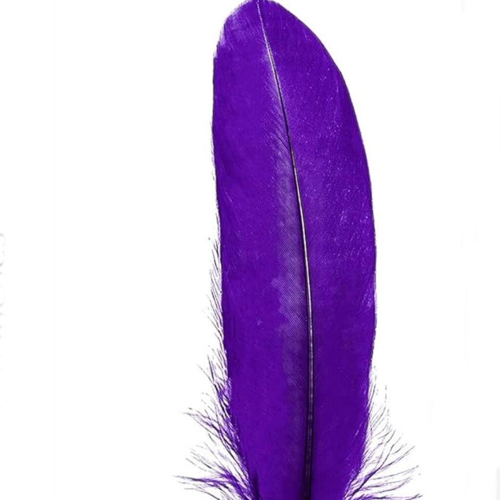 Goose Nagoire Feathers (loose) - US