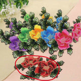 Applique Iron On Embroidery Patch #5
