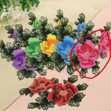 Applique Iron On Embroidery Patch #5