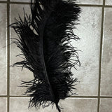 ostrich blondine feather x-large black