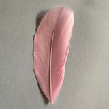 lolly pink goose nagoire feather tip