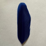 royal blue goose nagoire feather tip