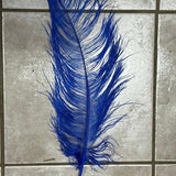 ostrich blondine feather x-large royal blue