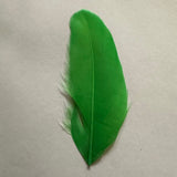 lime goose nagoire feather tip