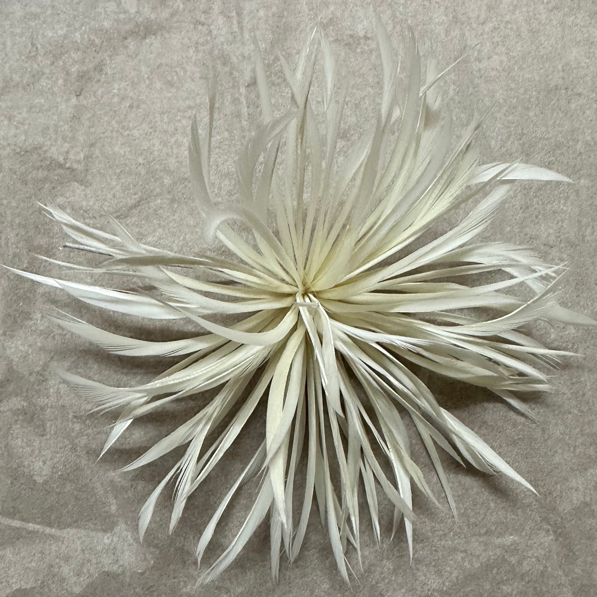 white Biot Feather Star Flower on Wire