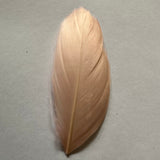 dusty pink goose nagoire feather tip